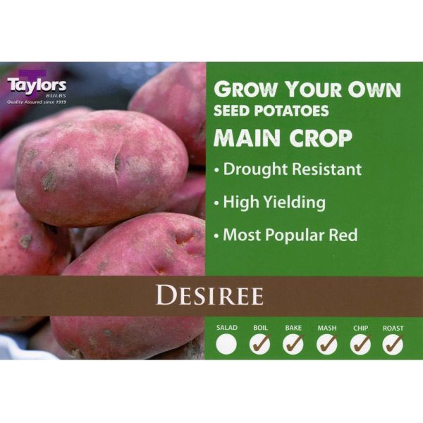 Desiree Seed Potatoes 2kg Bag